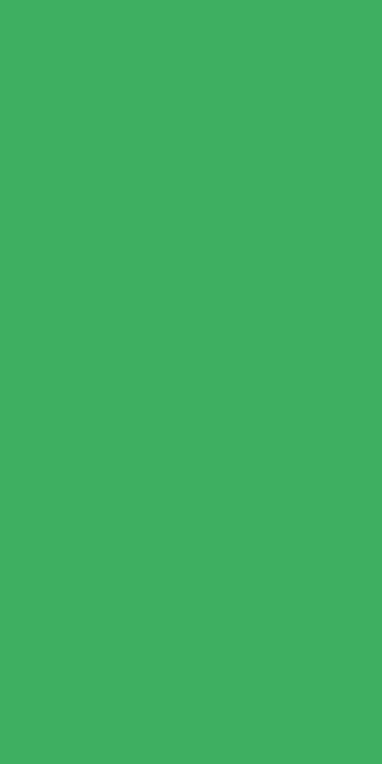 Parrot green particle board shade by kea boards
