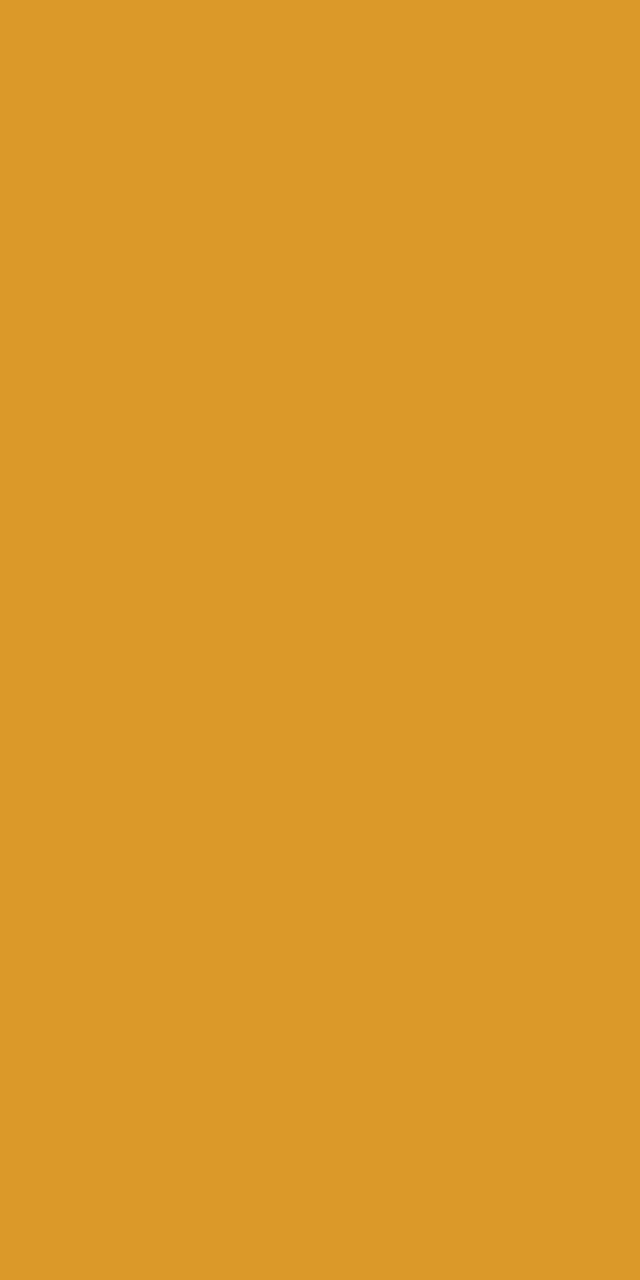 yellow kea board